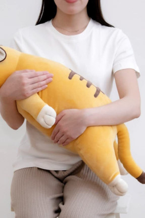 Art toys - Kidult